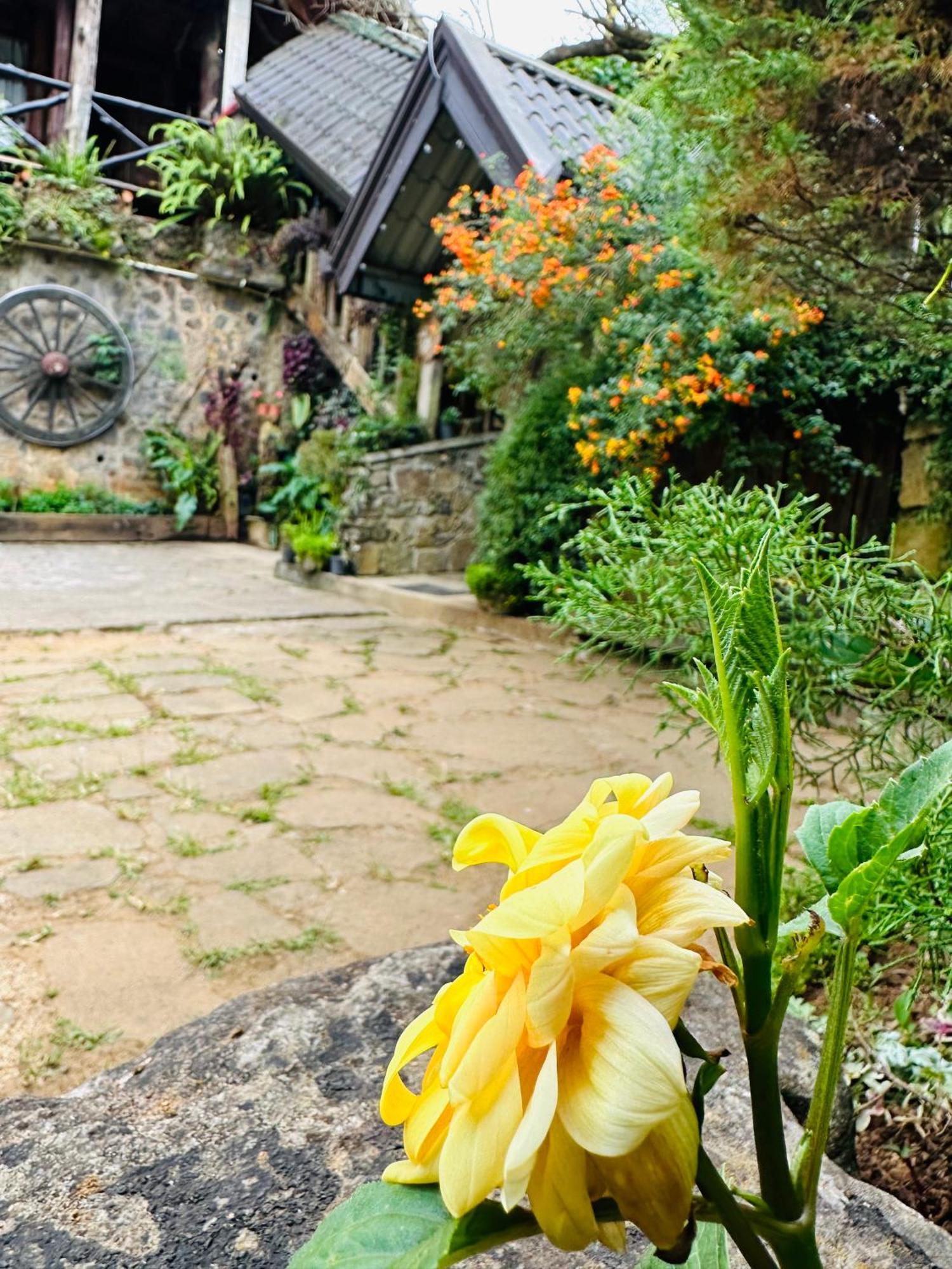 Villa 47 Nuwaraeliya 누와라 엘리야 외부 사진