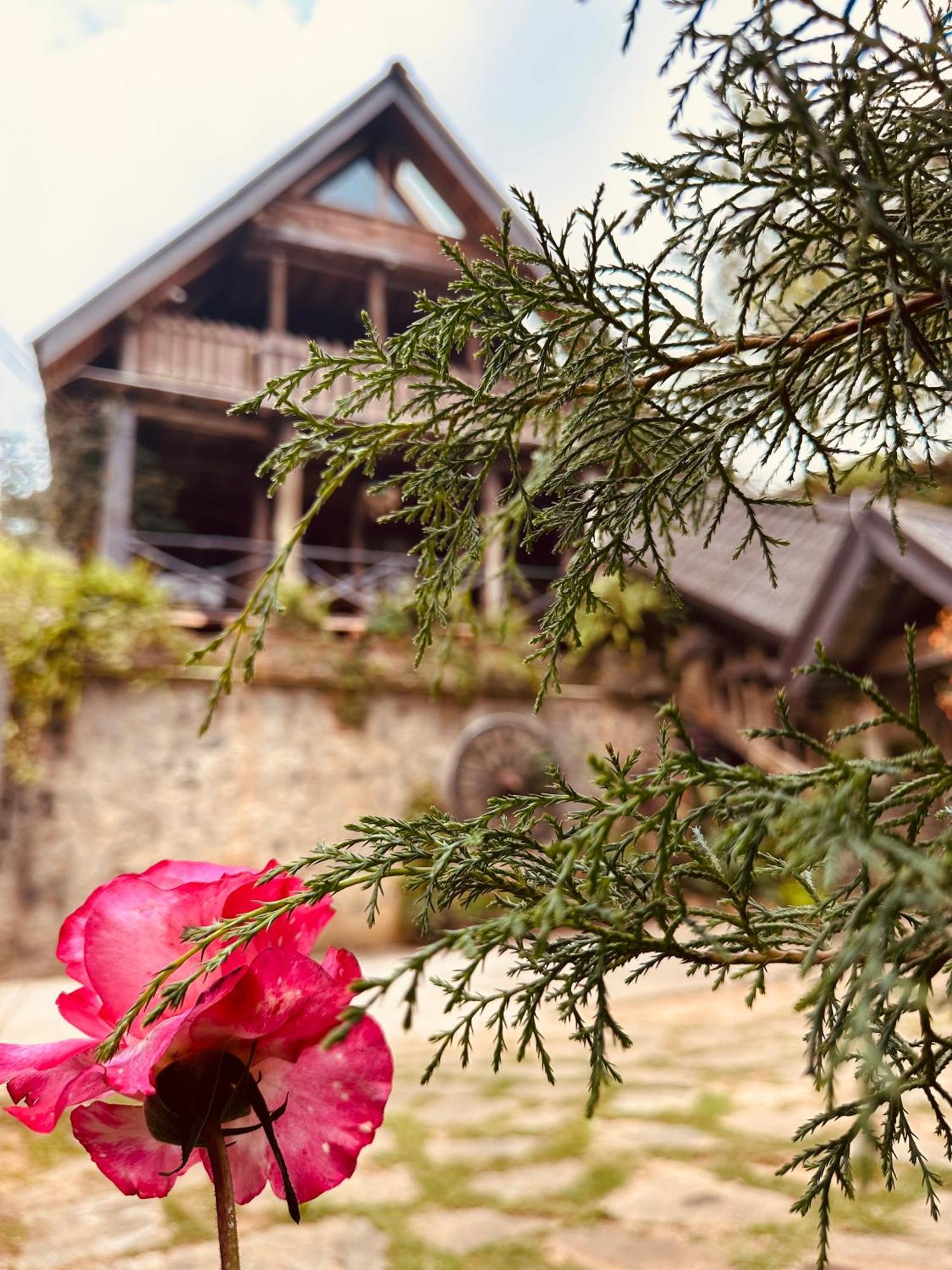 Villa 47 Nuwaraeliya 누와라 엘리야 외부 사진