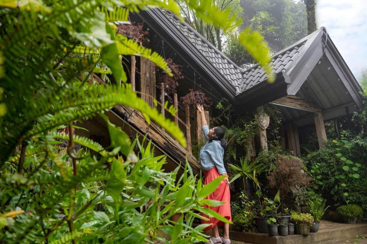 Villa 47 Nuwaraeliya 누와라 엘리야 외부 사진